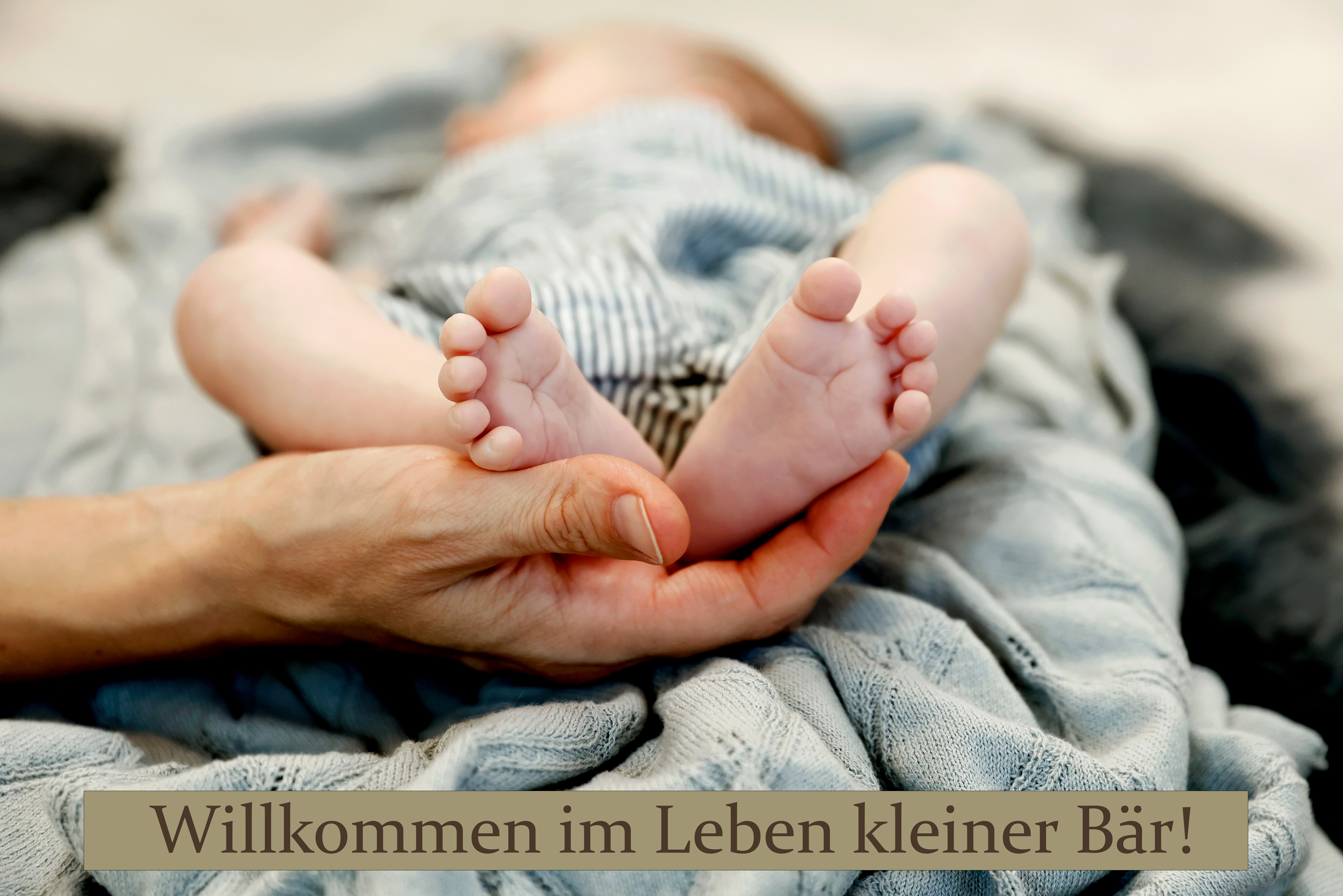 3574 kleiner.jpg